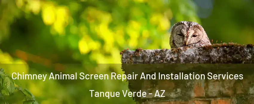 Chimney Animal Screen Repair And Installation Services Tanque Verde - AZ