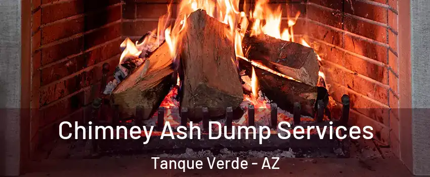 Chimney Ash Dump Services Tanque Verde - AZ