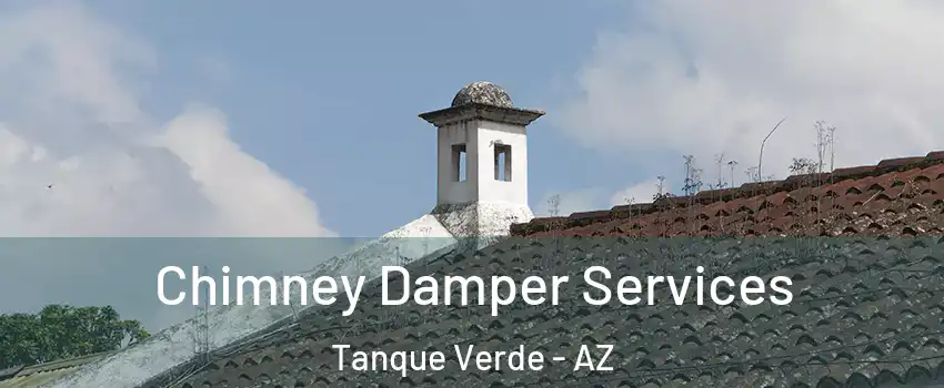 Chimney Damper Services Tanque Verde - AZ