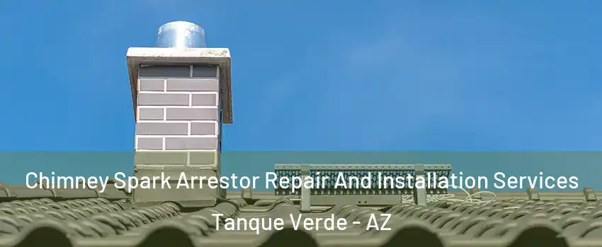 Chimney Spark Arrestor Repair And Installation Services Tanque Verde - AZ