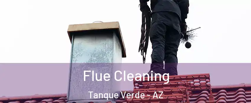 Flue Cleaning Tanque Verde - AZ
