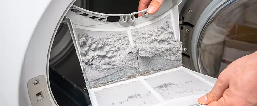 Best Dryer Lint Removal Company in Tanque Verde, Arizona