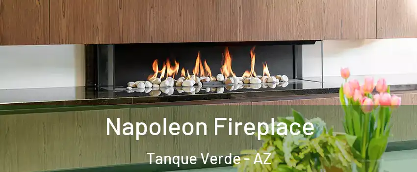 Napoleon Fireplace Tanque Verde - AZ